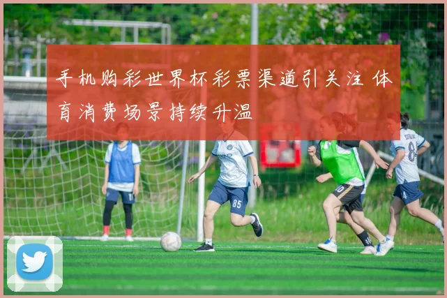 手机购彩世界杯彩票渠道引关注 体育消费场景持续升温